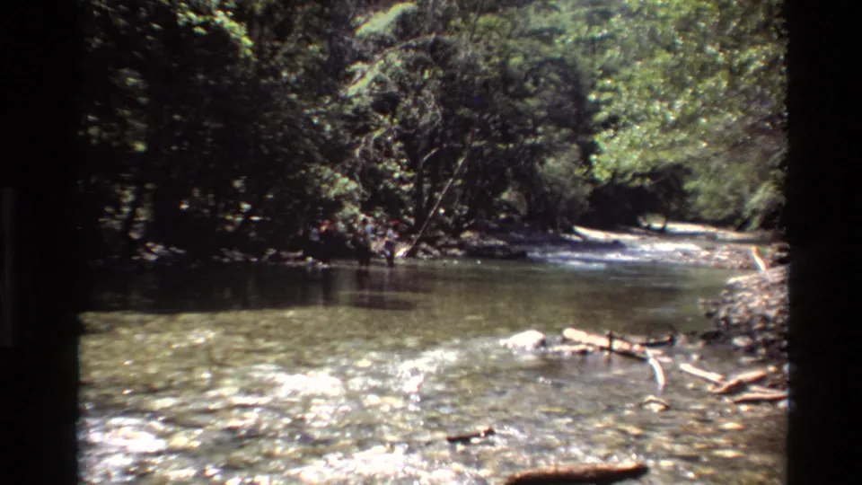 1980 Big Sur 8mm frame of a shallow river in forest shade, with bright surface reflections and branches or driftwood near the bank.