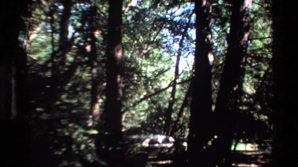 Big Sur forest frame from 1980 home-movie footage, with heavy shade, bright canopy gaps, and a partially obscured light-colored car beyond the trunks.