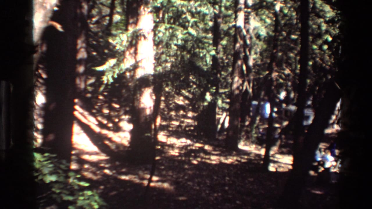 1980 Big Sur 8mm frame of a shaded forest floor, bright sun patches, tall trees, and a partially visible distant person at right.