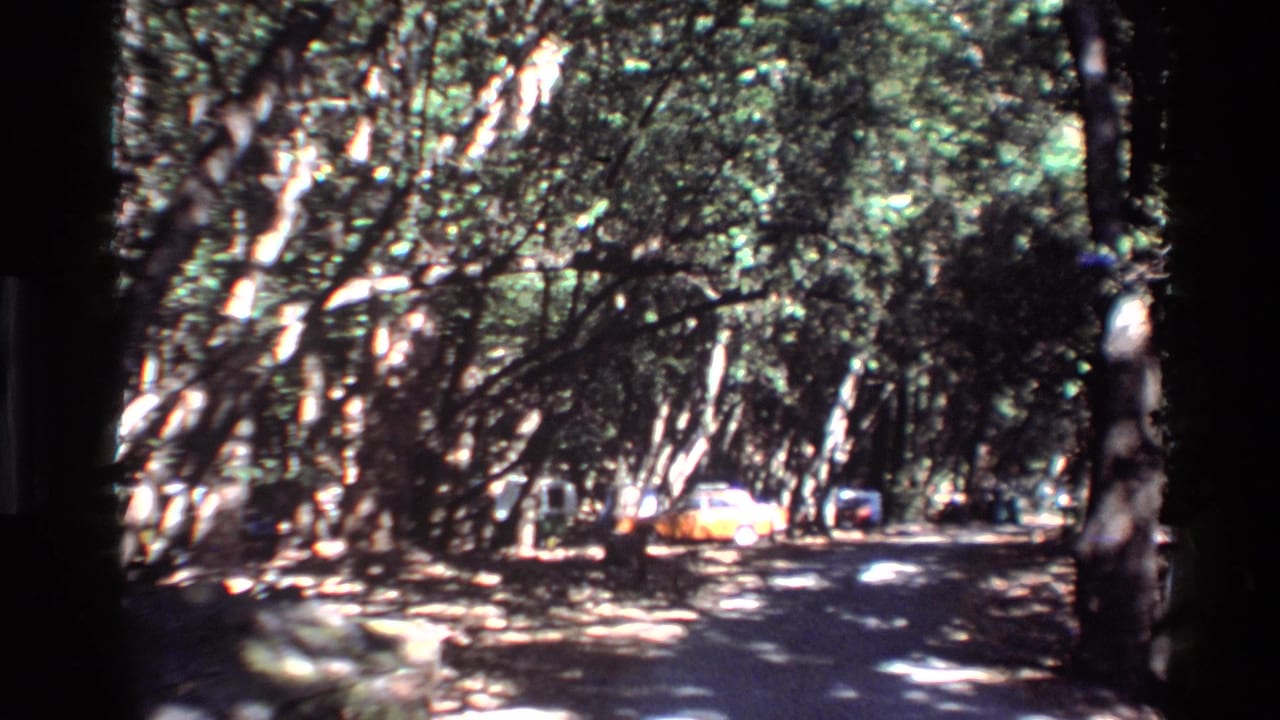 1980 Big Sur home-movie frame showing a shaded forest road, bright sun patches, and parked vehicles beyond the trees.