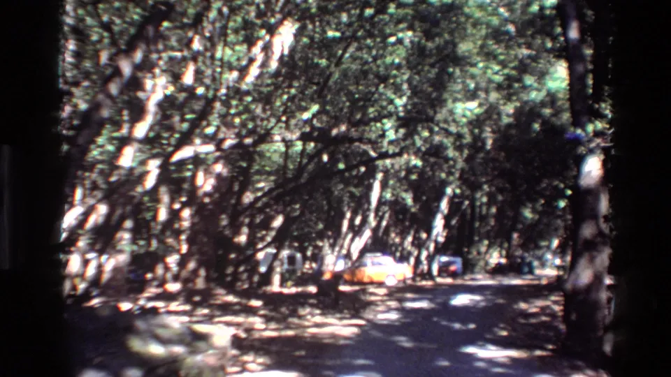 1980 Big Sur home-movie frame showing a shaded forest road, bright sun patches, and parked vehicles beyond the trees.