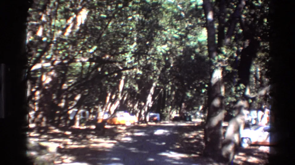 1980 Big Sur frame with a tree-canopied road, distant parked cars, and bright sunlight filtering through foliage.