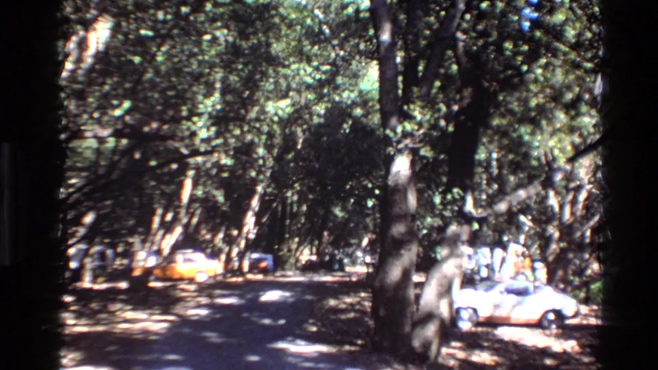 1980 Big Sur home-movie view of a shaded roadside with parked cars and distant campers among tall trees.