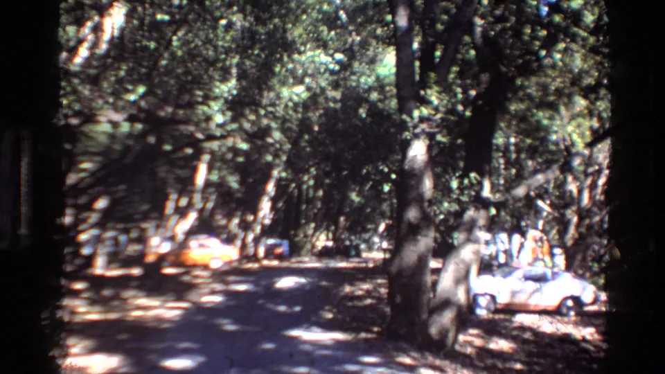 1980 Big Sur frame showing a wooded road, parked vehicles, and distant visitors under bright filtered sunlight.