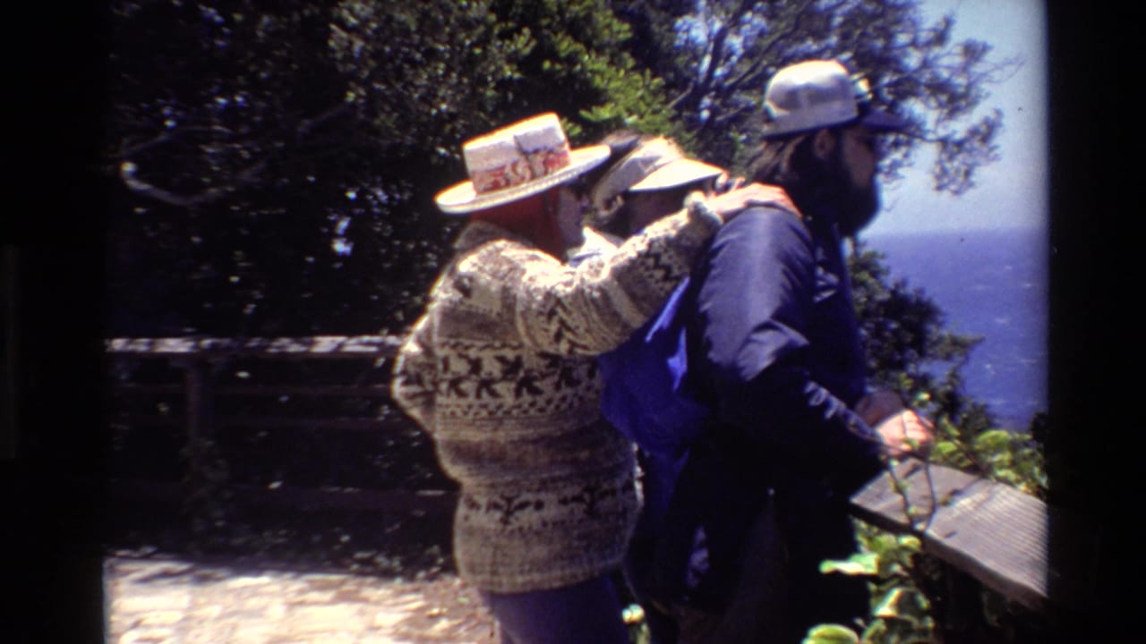 At a Big Sur ocean overlook, two adults in casual outdoor clothing stand near a wooden railing with blue water visible through trees.