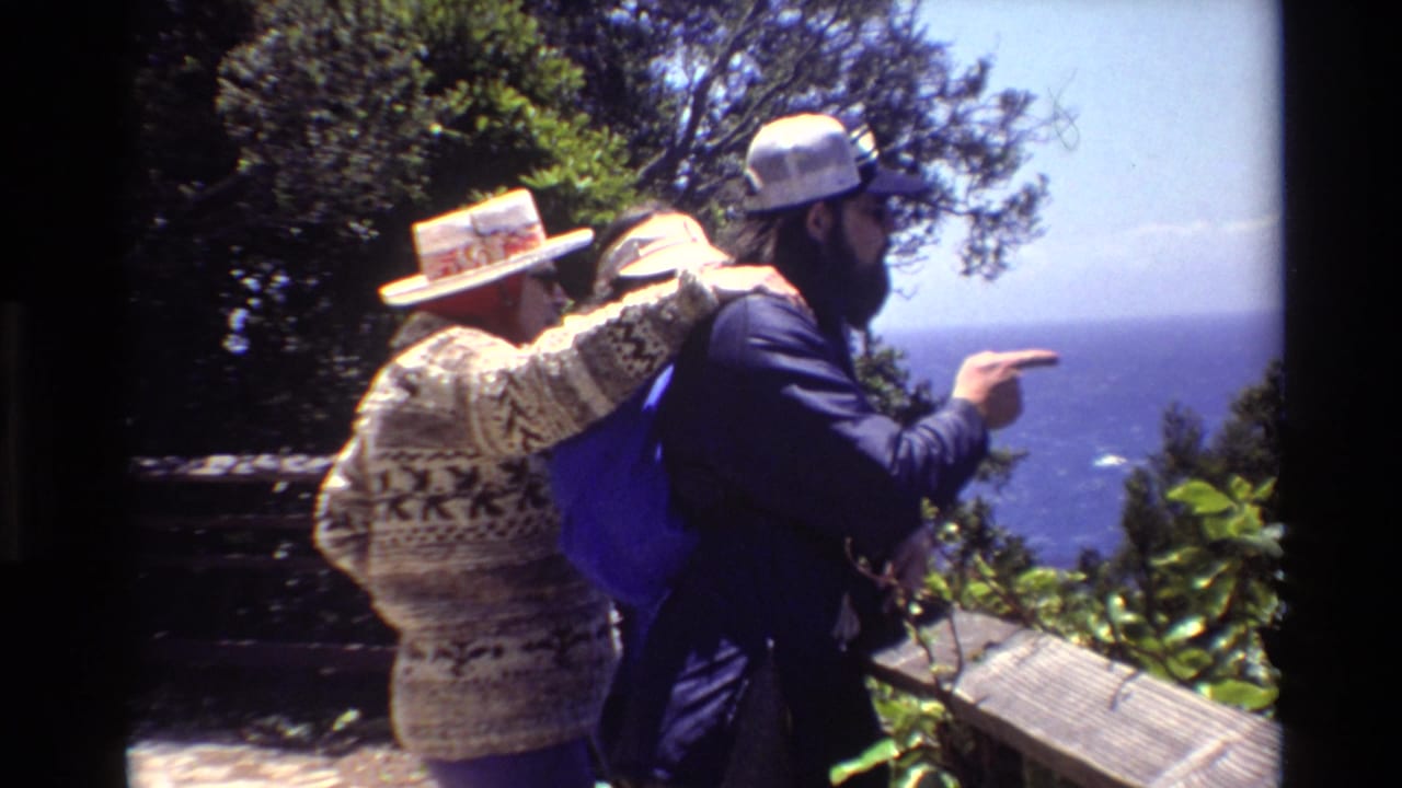 Two adults stand at a coastal overlook while one points toward the ocean.