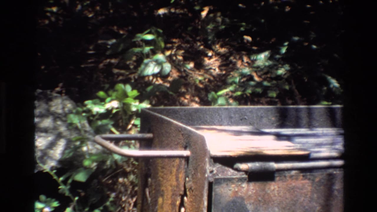 The final frame shows a metal grate or outdoor camp structure in the same wooded Big Sur setting, with leaves, rocks, and dark film edges.