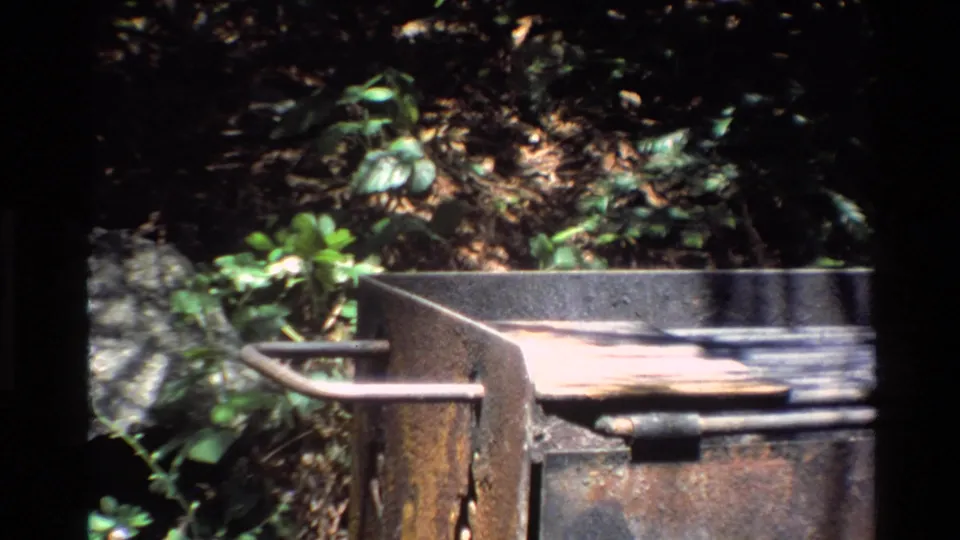The final frame shows a metal grate or outdoor camp structure in the same wooded Big Sur setting, with leaves, rocks, and dark film edges.