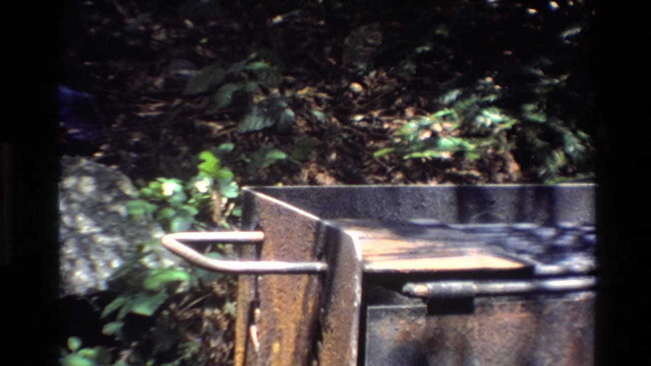 Rusty grill and leafy forest background with the bird out of frame.