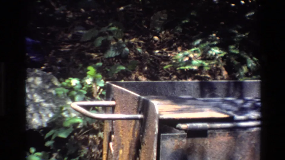 The weathered grill remains in view against a wooded Big Sur backdrop, with dappled sunlight on the cooking surface.