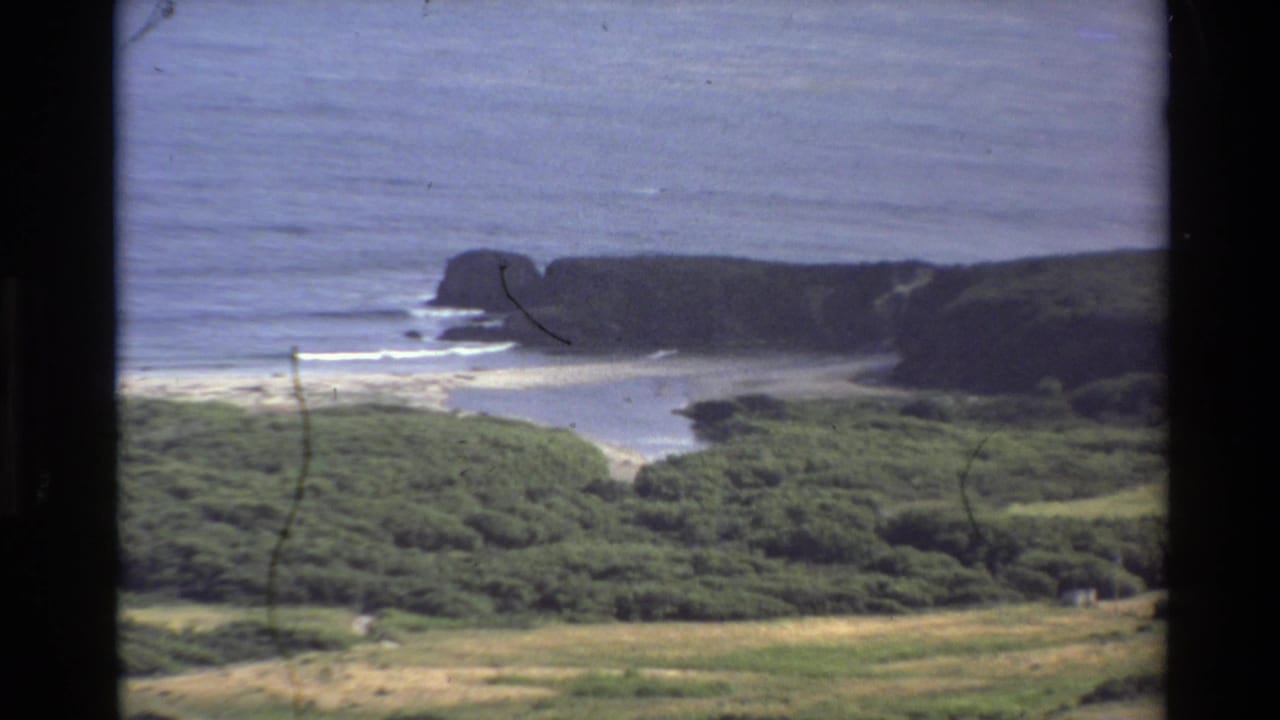 Coastal cliff and surf seen from above with green scrub in the foreground.