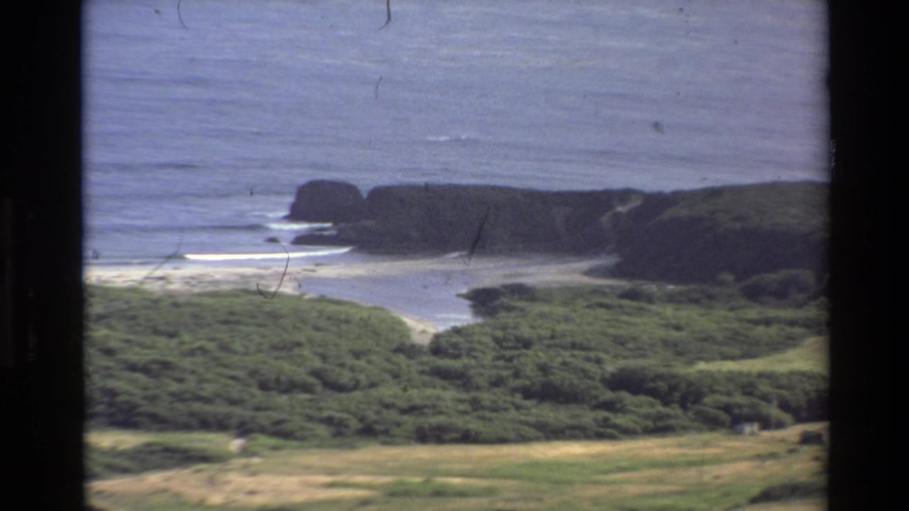 Big Sur shoreline in 1980, with ocean waves breaking beside a dark coastal bluff and low green vegetation.