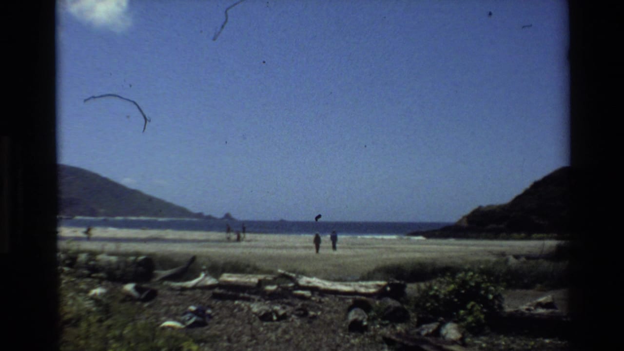 Wide beach with surf, hills, driftwood, and distant people walking near the shoreline.