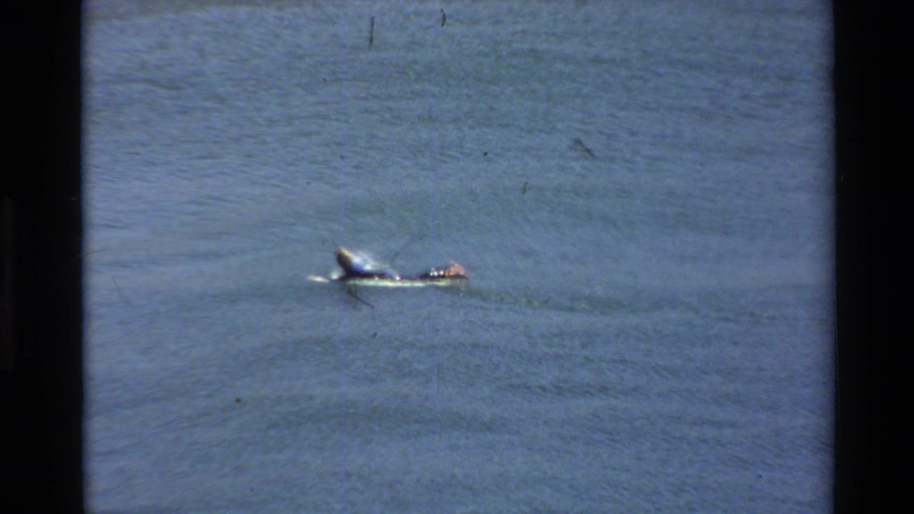 A lone surfer paddles offshore at Big Sur, California, in 1980s 8mm home-movie footage with soft focus and film marks.