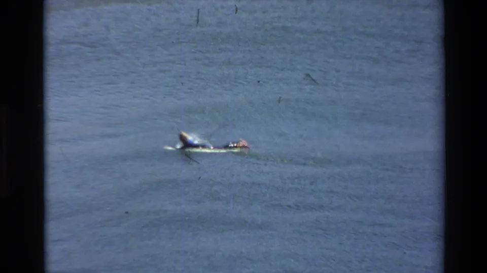A lone surfer paddles offshore at Big Sur, California, in 1980s 8mm home-movie footage with soft focus and film marks.