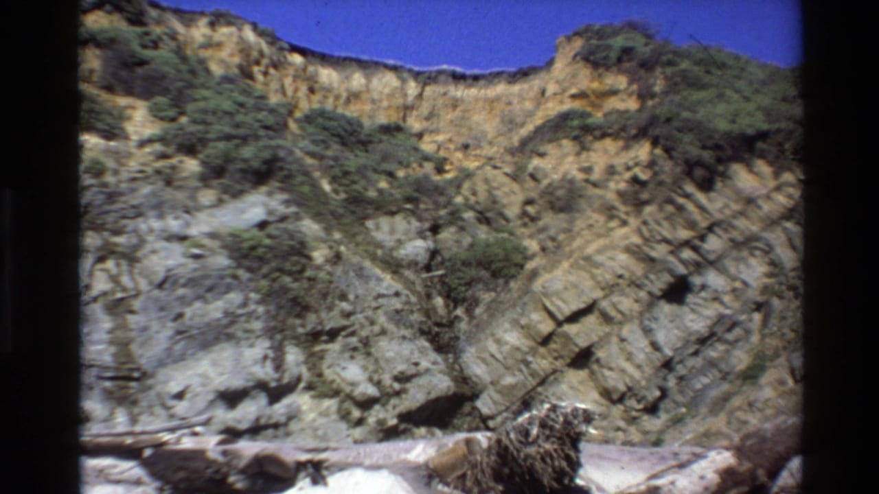 Rocky cliff face with shrubs and a narrow strip of blue sky.