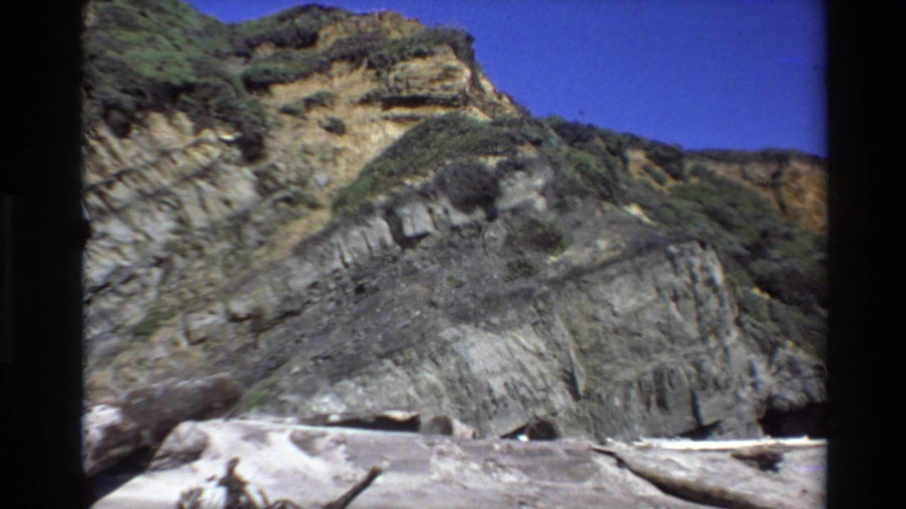 Layered coastal cliff above a sandy beach with driftwood and blue sky.