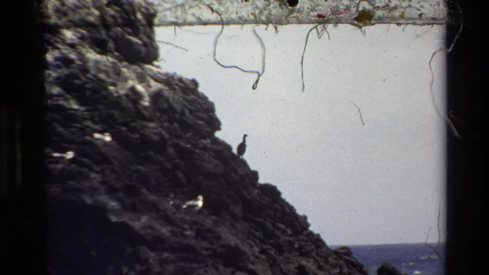 Closer 1980 Big Sur frame showing a rugged dark rock face, a small perched seabird silhouette, and ocean at the horizon.