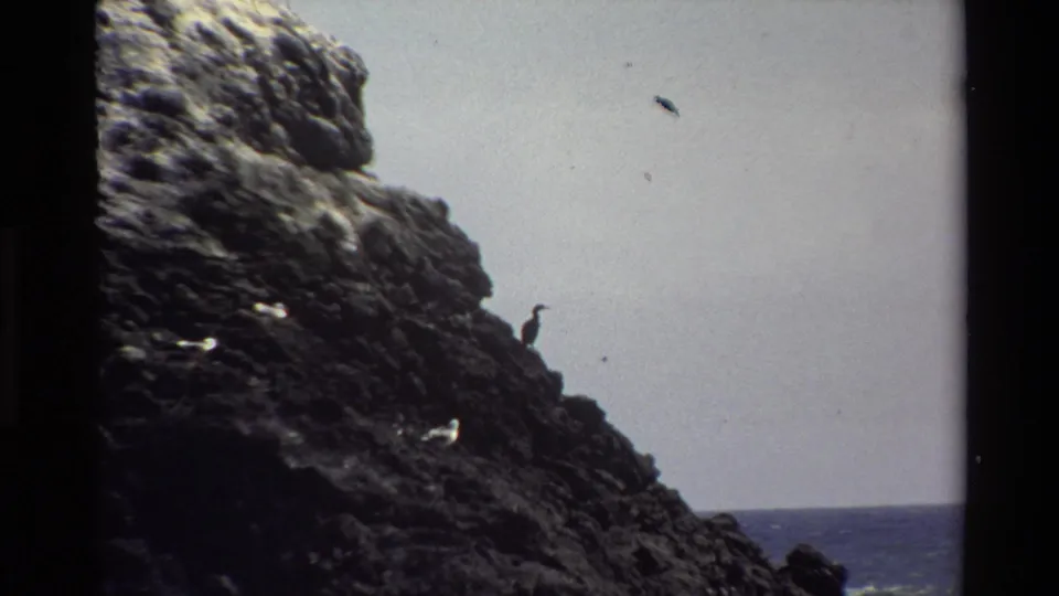 Big Sur 1980 8mm frame with a dark bird on jagged shoreline rock, pale sky, and distant ocean horizon.