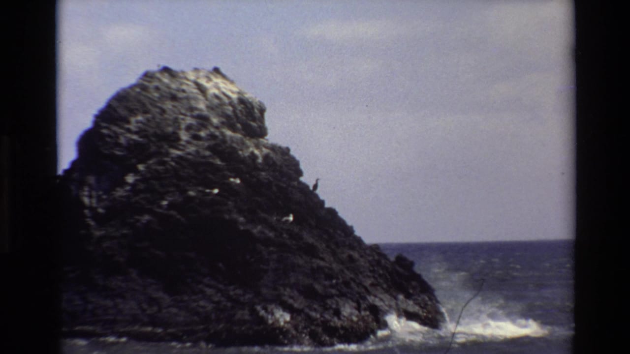 Wider 1980 Big Sur 8mm view of a rugged coastal rock, a small bird silhouette, ocean horizon, and surf at the base.