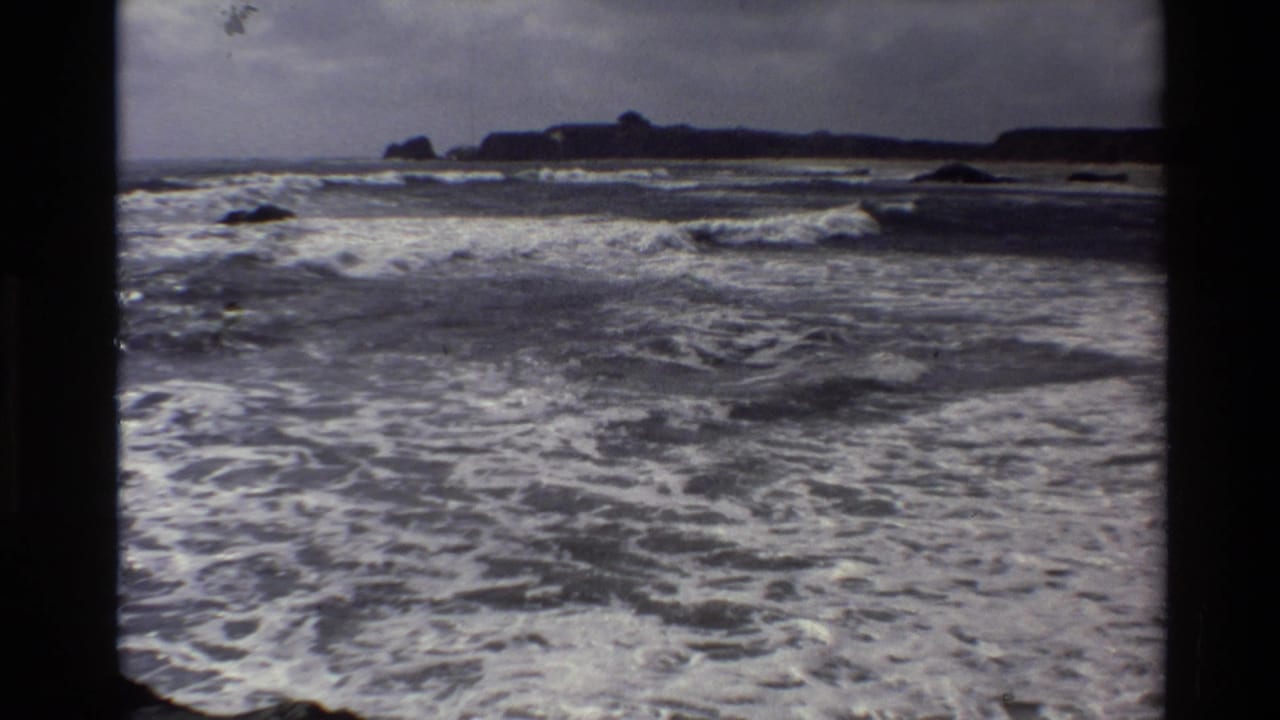 Big Sur 8mm frame with foamy shoreline water, distant rocks, and a low coastal horizon under a cloudy sky.