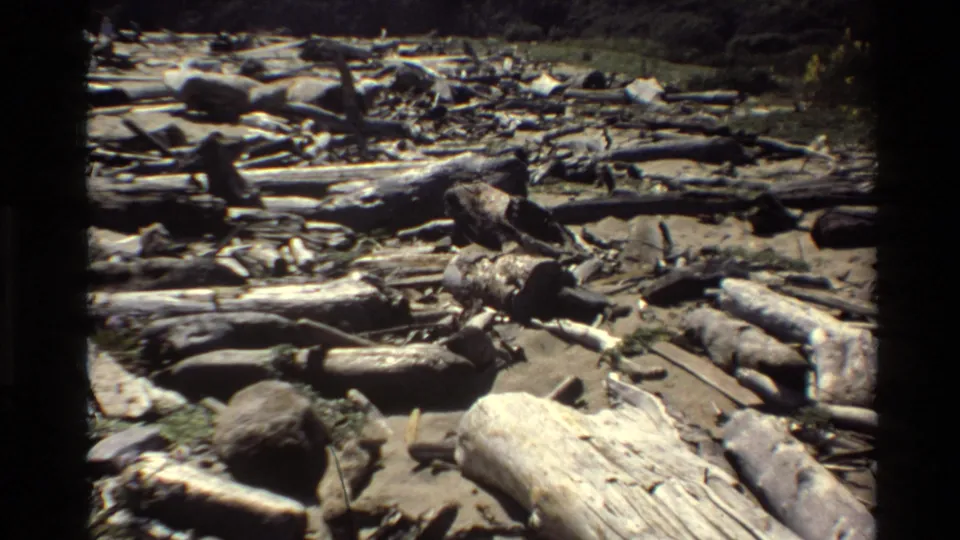 The final 8mm frame shows a Big Sur beach strewn with driftwood, pale logs, rocks, and shoreline debris under dim coastal light.