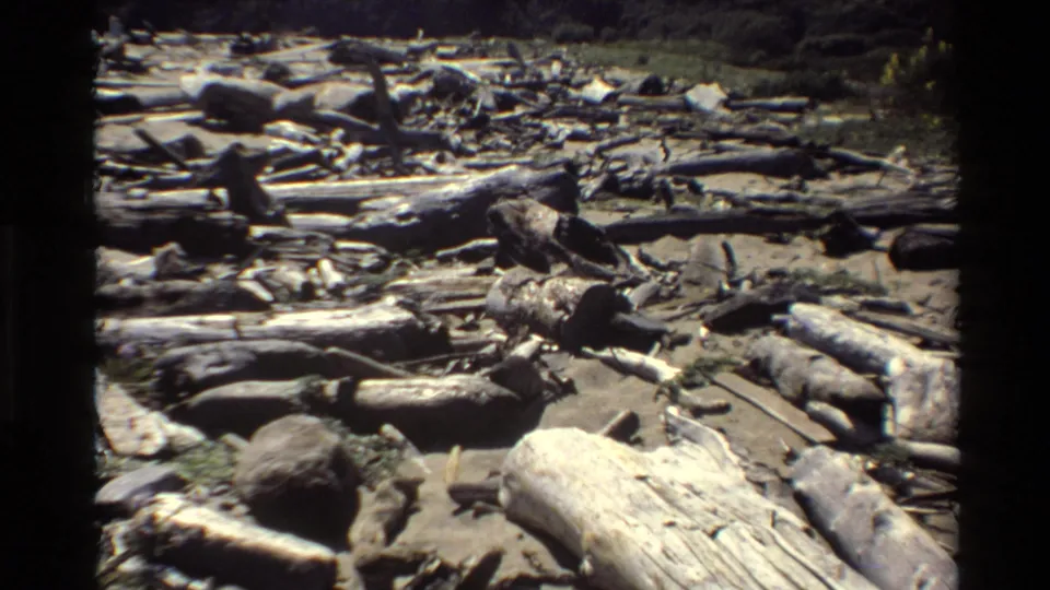 1980 Big Sur home-movie frame showing weathered driftwood and fallen tree trunks scattered across a bright coastal beach.