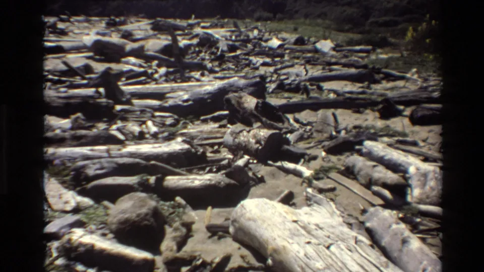 Big Sur 1980 home-movie frame showing pale driftwood, darker logs, rocks, and low vegetation along a bright beach.