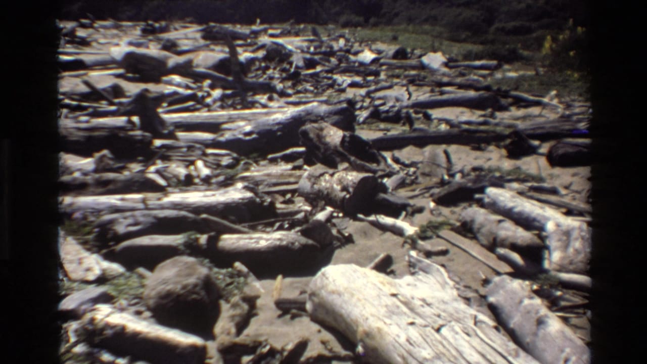 1980 Big Sur frame showing scattered driftwood and fallen tree trunks across a sunlit beach with rocks and brush at the edge.