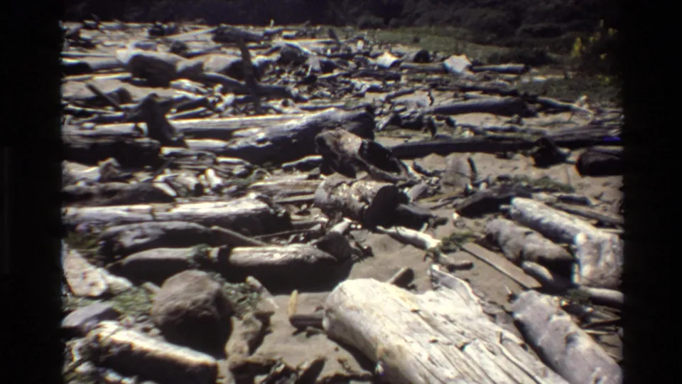 1980 Big Sur frame showing scattered driftwood and fallen tree trunks across a sunlit beach with rocks and brush at the edge.