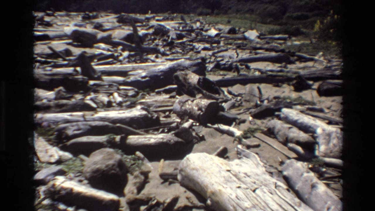 1980 Big Sur 8mm frame showing a sunlit coastal beach with driftwood logs, rocks, and pale sand.