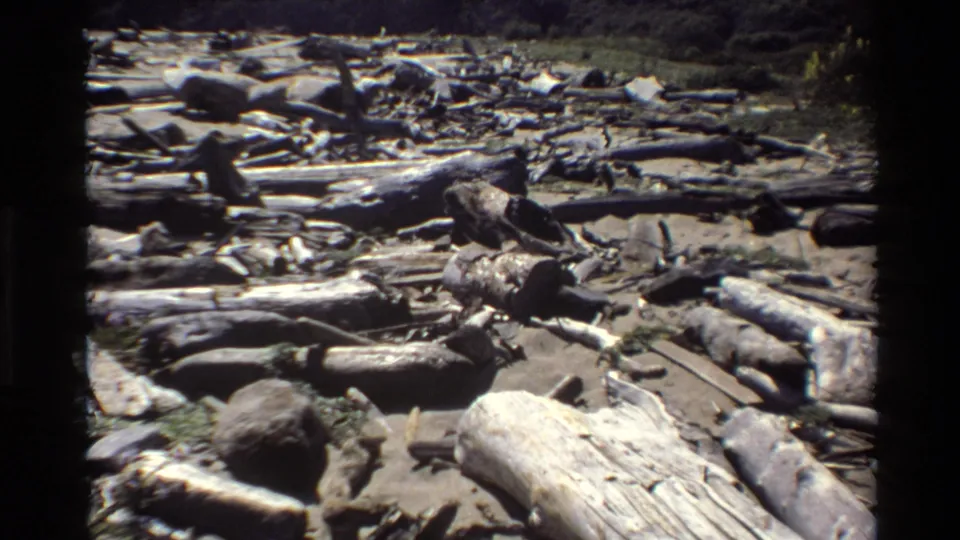 1980 Big Sur 8mm frame showing a sunlit coastal beach with driftwood logs, rocks, and pale sand.