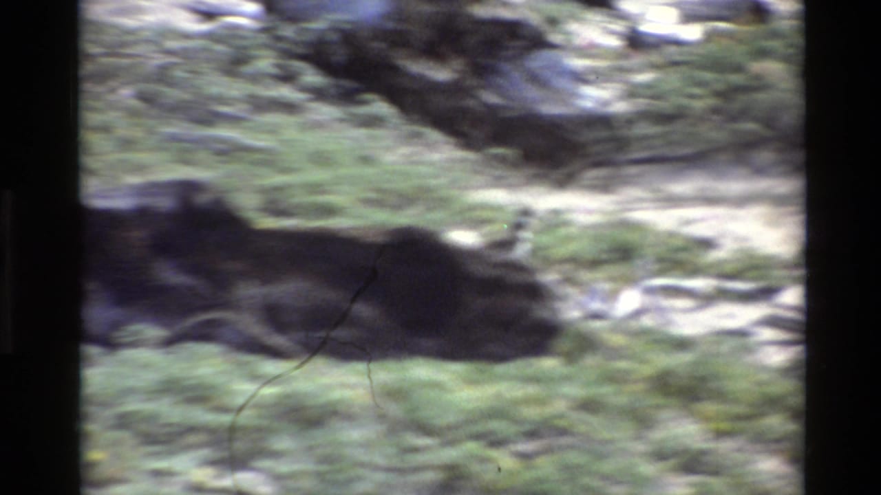 Handheld 1980 Big Sur 8mm frame with motion blur over grass, dark rocks, and pale sandy ground.