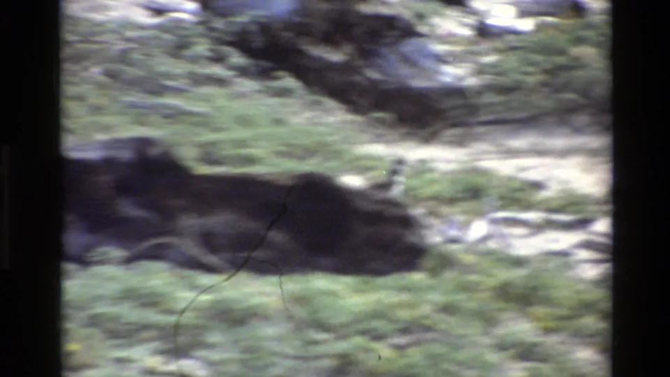 Handheld 1980 Big Sur 8mm frame with motion blur over grass, dark rocks, and pale sandy ground.