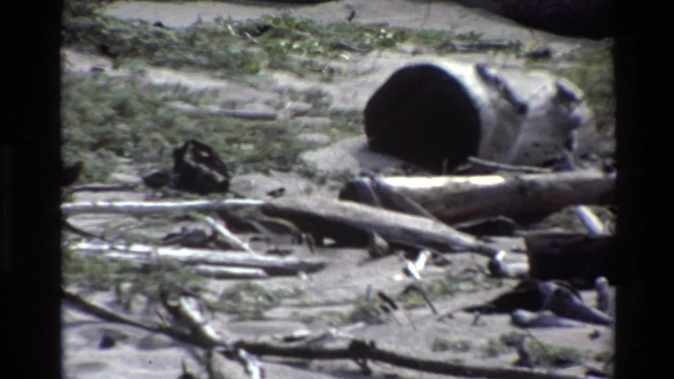 1980 Big Sur beach frame showing driftwood, dried seaweed, scattered refuse, and a hollow log against low coastal plants.