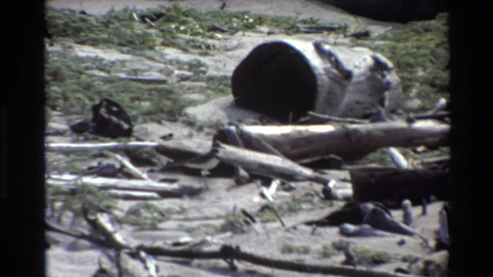 1980 Big Sur shoreline view with a hollow log, weathered driftwood, dried seaweed, and scattered debris across the sand.