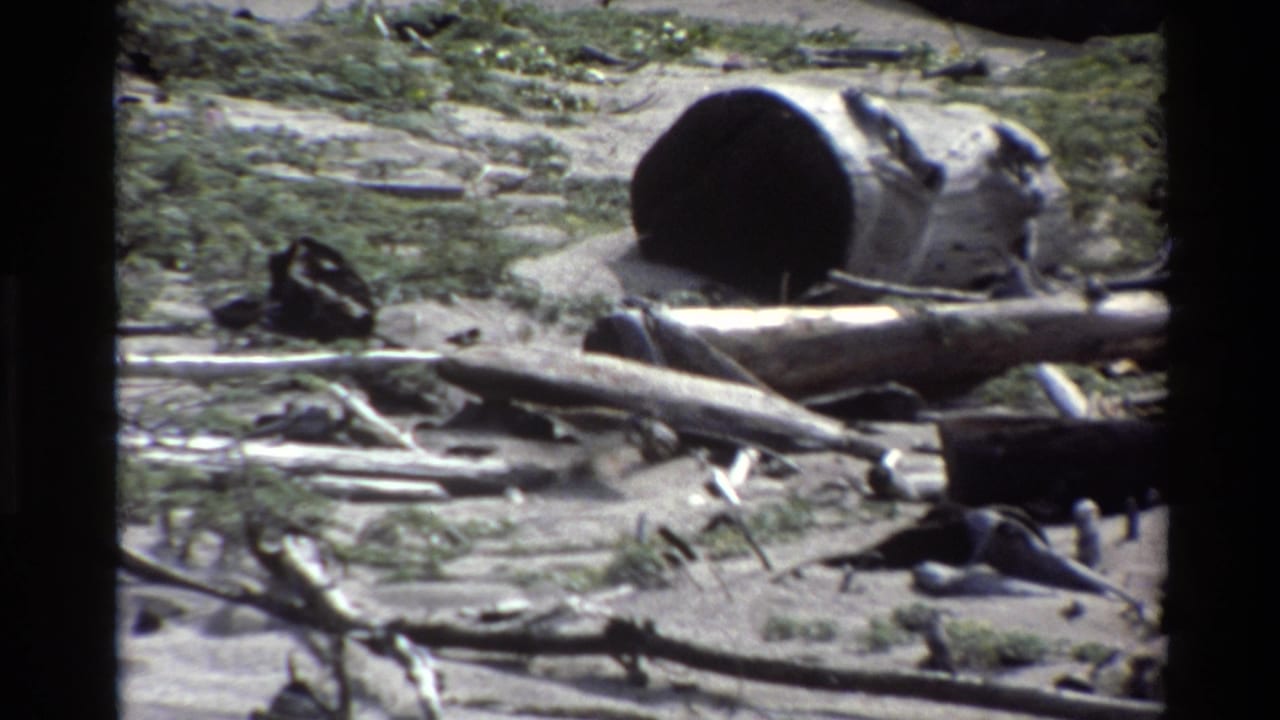 1980 Big Sur beach frame holding on driftwood, a hollow log, dried seaweed, and scattered dark refuse in soft 8mm focus.
