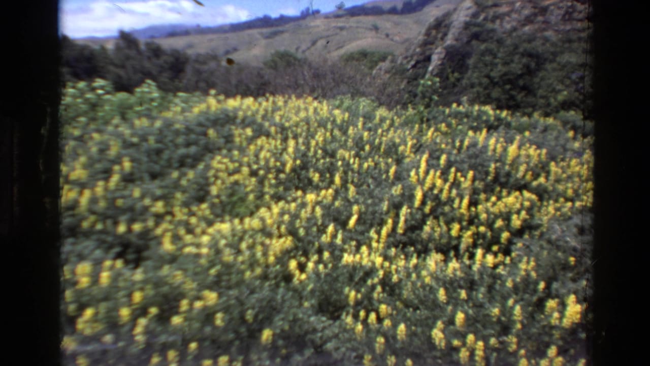 Wildflower meadow and green hillside appear beside rocky terrain under open sky.