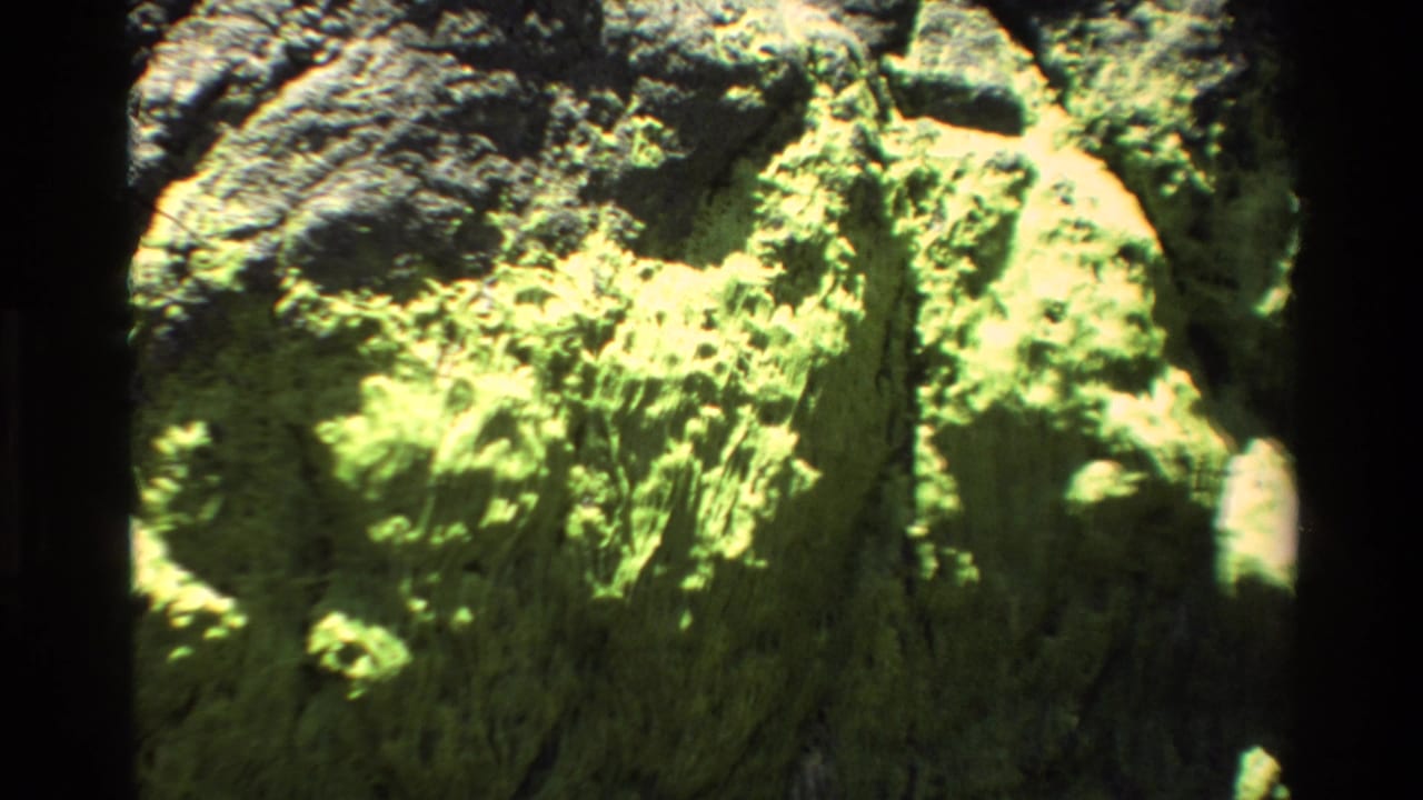 Close-up 8mm frame from circa 1980 showing a moss-covered dark volcanic boulder in bright sunlight at the Big Sur coastline; vivid yellow-green coloration dominates the frame.
