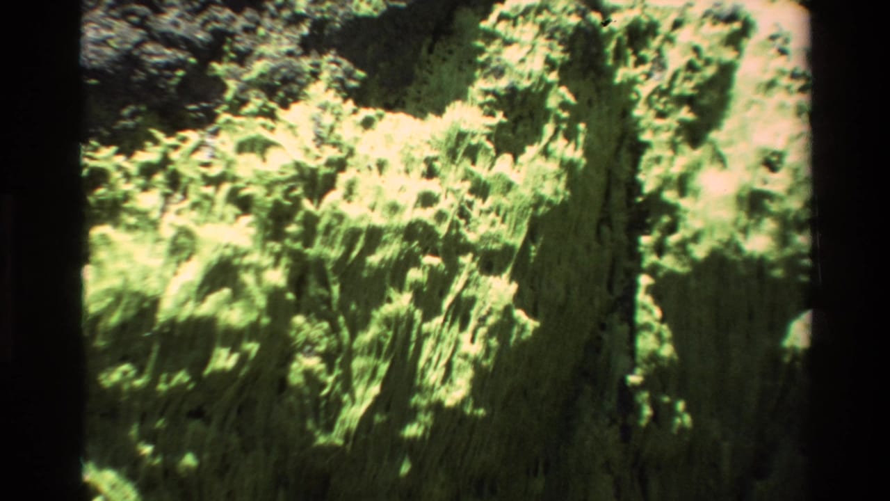 Super 8 film frame circa 1980 showing a lichen-encrusted Big Sur rock face at moderate zoom with dark film-gate borders visible.