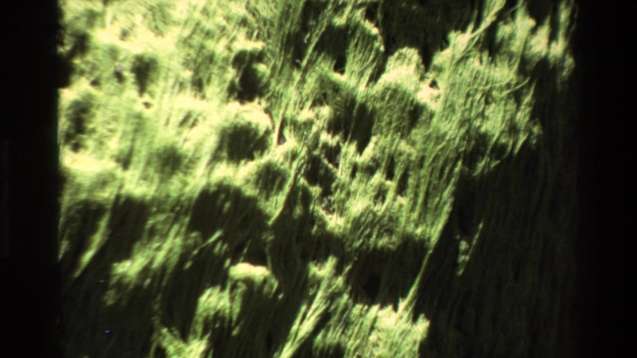 Mid-zoom Super 8 frame circa 1980 showing lichen growth patterns across a Big Sur rock face with characteristic home-movie grain.