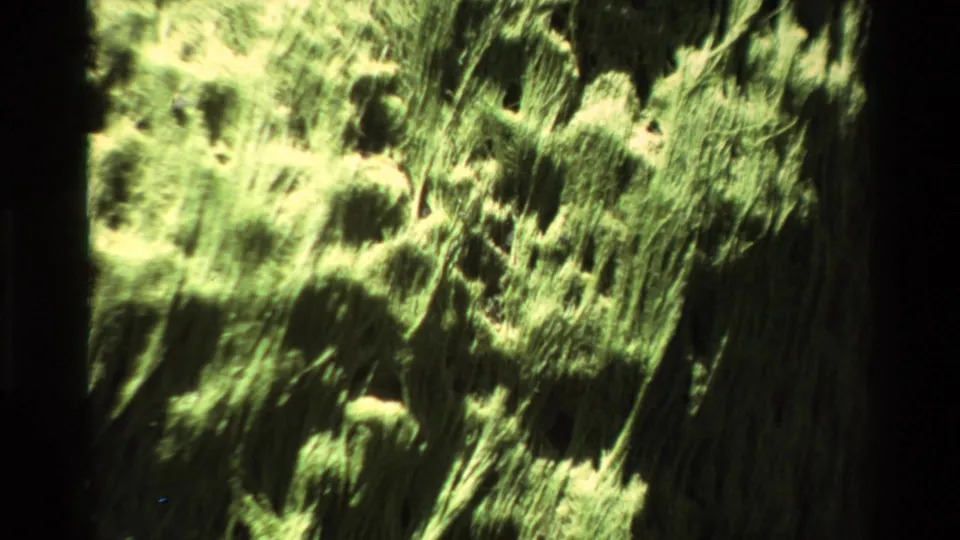 Mid-zoom Super 8 frame circa 1980 showing lichen growth patterns across a Big Sur rock face with characteristic home-movie grain.