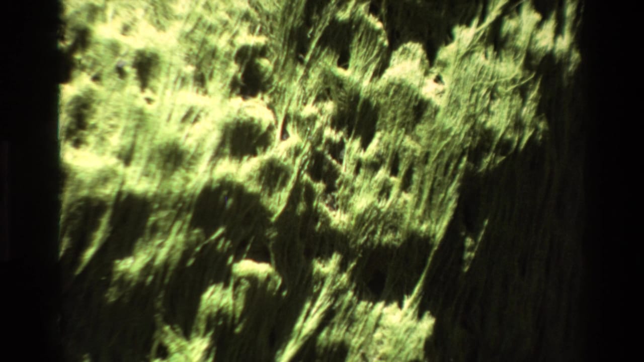 End-of-zoom Super 8 frame circa 1980 showing lichen-textured rock surface with motion blur and film grain from 8mm handheld zoom technique.