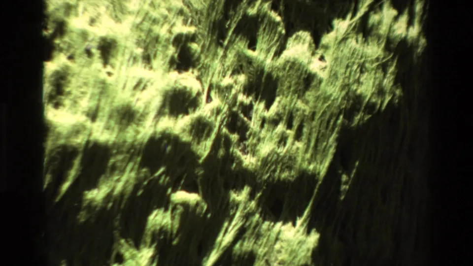 End-of-zoom Super 8 frame circa 1980 showing lichen-textured rock surface with motion blur and film grain from 8mm handheld zoom technique.
