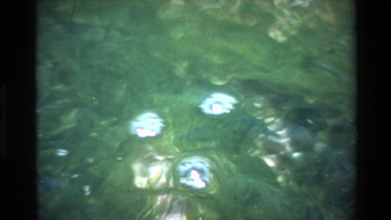 8mm film frame circa 1980, Big Sur area — murky green water surface with rising air bubble clusters and dense submerged green algae below.