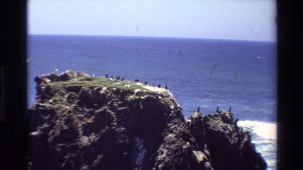 Super 8 home movie frame, circa 1980, showing a dark rock headland with a large seabird colony perched along its top, Big Sur coastline, California
