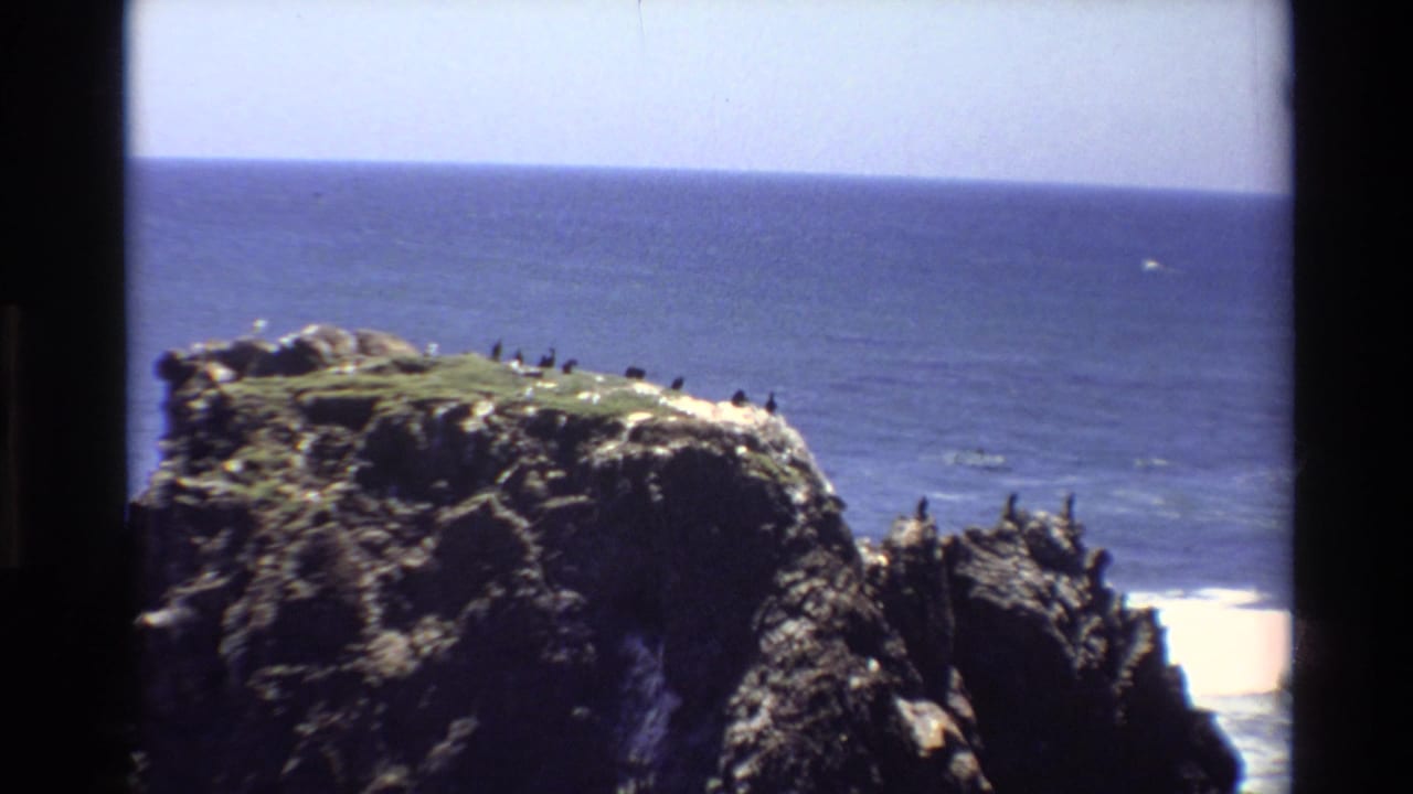 Dark rocky sea stack with seabirds along the top, Pacific Ocean stretching to horizon