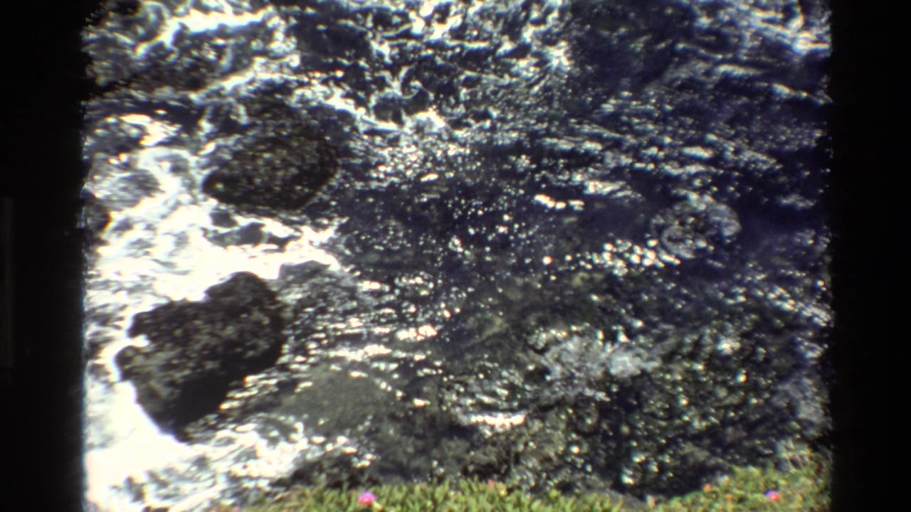 Churning water over dark rocks with bright sunlight reflections, green grass at bottom edge, film scan border visible.
