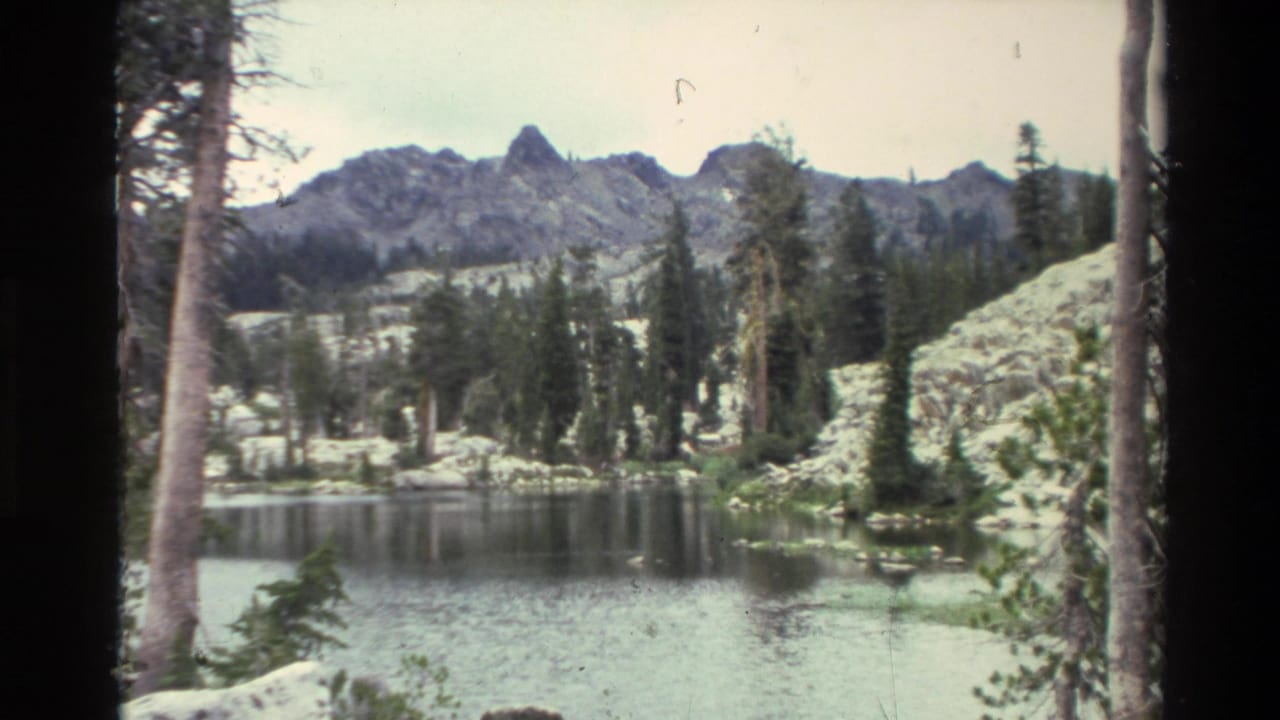 Alpine lake reflecting rocky mountain peaks and conifers, seen through foreground tree trunks against a pale sky.