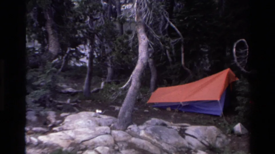 Orange and blue backpacking tent set among gnarled trees on rocky terrain, California wilderness campsite circa 1980, with 8mm grain.